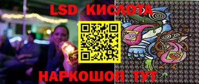стафф Новозыбков
