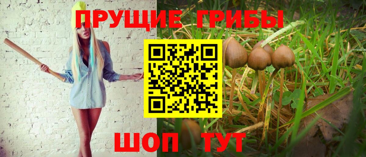 закладка  Галлюциногенные грибы ЛСД  Псилоцибиновые грибы Psilocybine cubensis  Вход с VPN  Тосно 