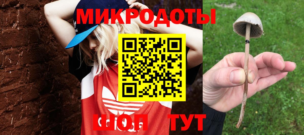 Галлюциногенные грибы MAGIC MUSHROOMS Тосно